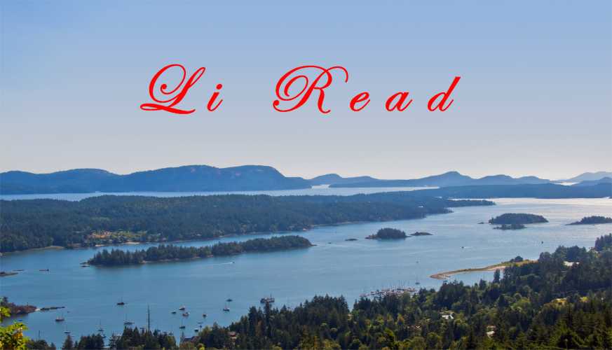 go to LiRead.com